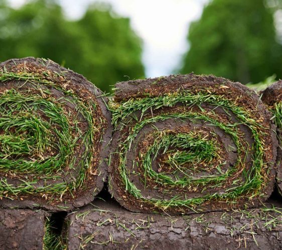 Turfworld-Aftercare-Advice-and-Information-1536x1025