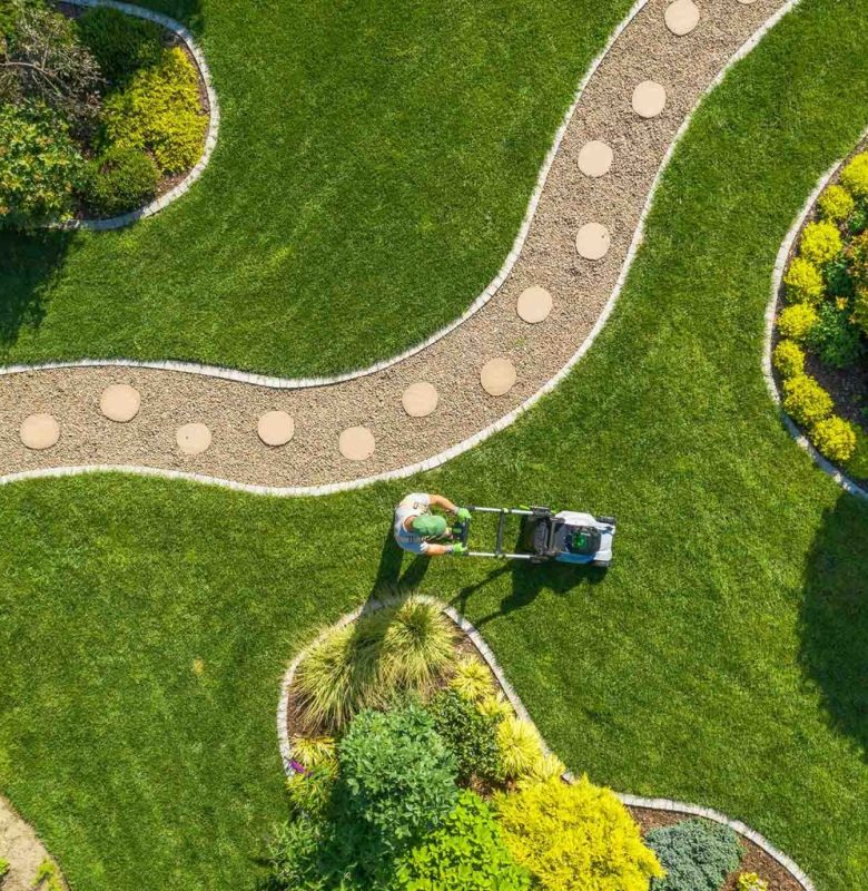 Turfworld-Aftercare-How-to-mow-your-lawn-1536x1023