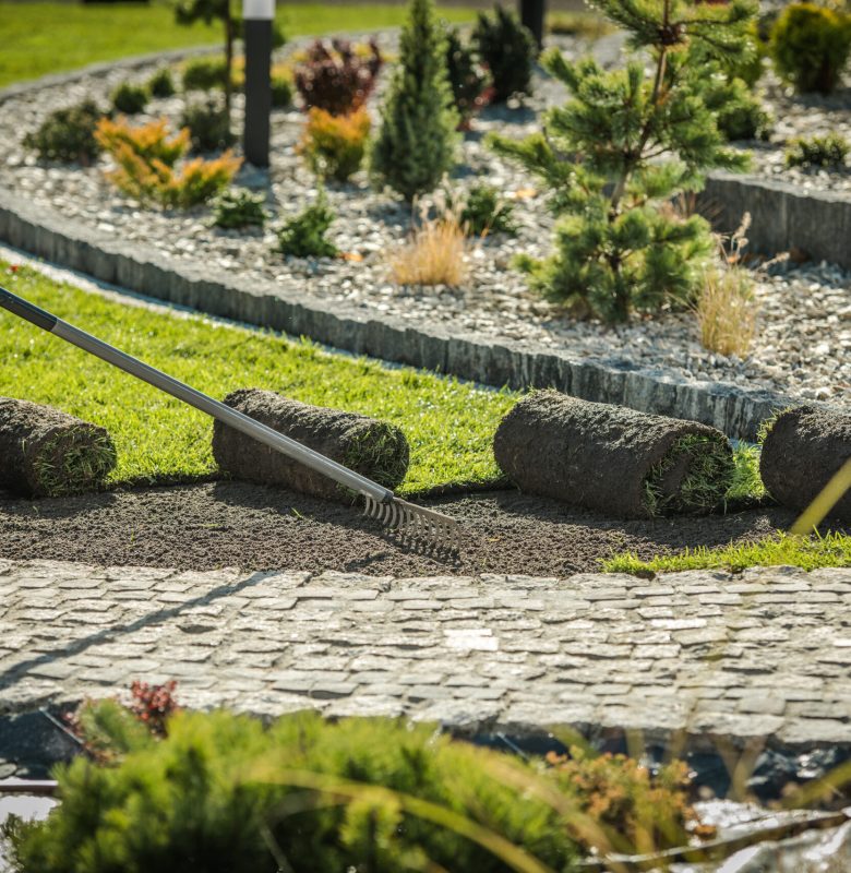 Gardener Raking and Leveling Going with Soil Rake Before Rolling Out the Grass Rolls to Complete the Instant Turf Lawn in the Backyard Landscape Garden. Gardening and Landscaping Tools in Use.