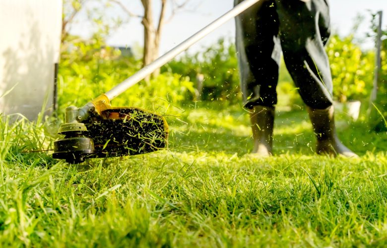 A,Man,Taking,Care,Of,His,Lawn,Has,A,Grass