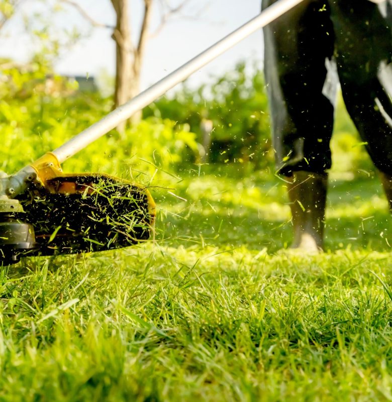 A,Man,Taking,Care,Of,His,Lawn,Has,A,Grass