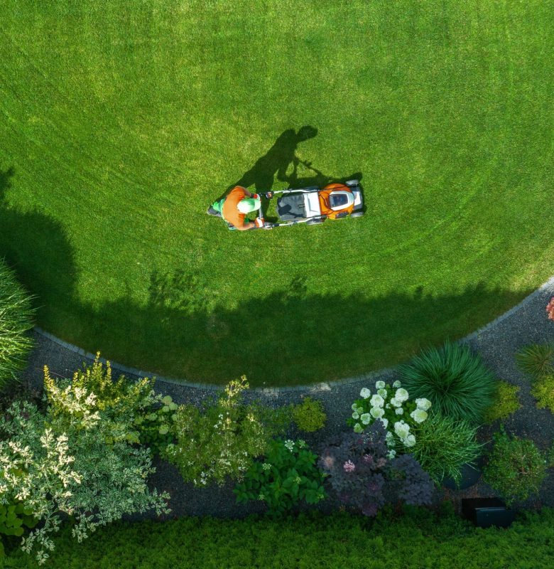 A,Person,Mows,A,Well-maintained,Lawn,,Encircled,By,Colorful,Plants