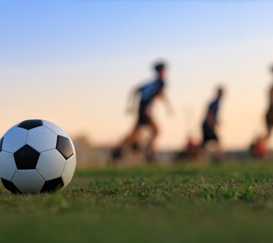 shutterstock_2581108515