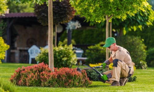 shutterstock_2632704847