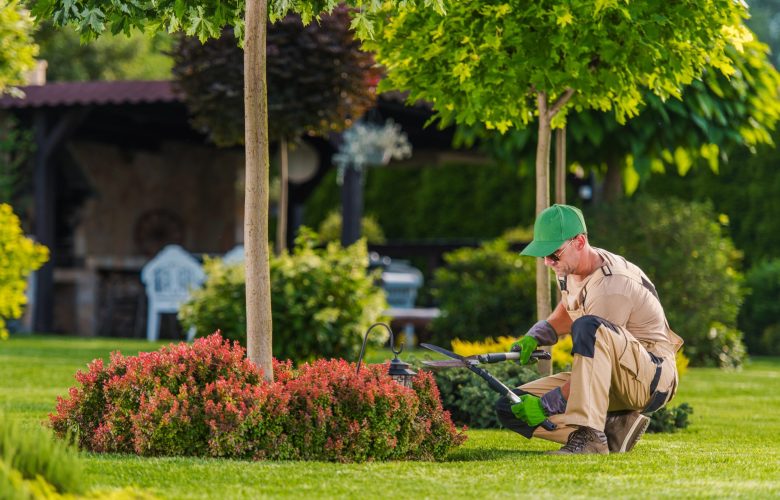 shutterstock_2632704847