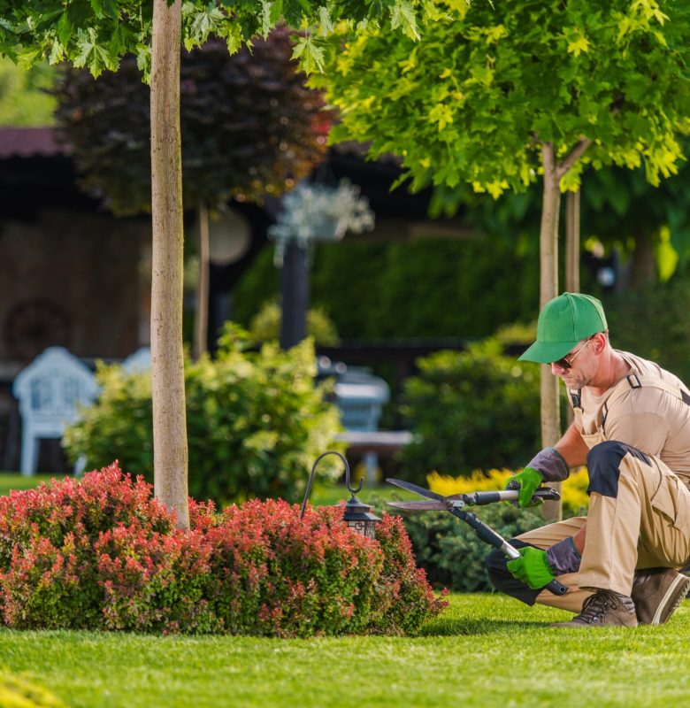 shutterstock_2632704847